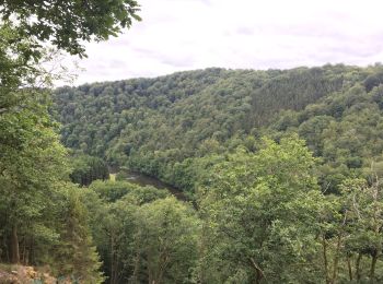 Randonnée Marche Herbeumont - RSIH - Herbeumont - Les Crêtes - Photo