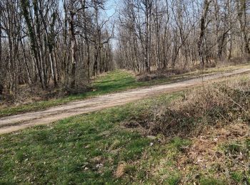 Excursión Bici de montaña Vouthon-Haut - reco partielle vtt les Chemins d'Isabelle.  - Photo