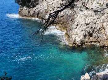 Tocht Stappen Saint-Jean-Cap-Ferrat - CAP FERRAT - Photo