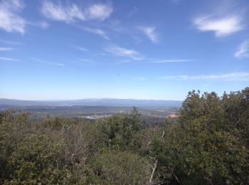 Tocht Stappen Besse-sur-Issole - Ermitage de Saint Quinis 16.3.24 - Photo