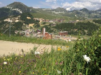 Percorso Mountainbike La Plagne-Tarentaise - La Chapelle de Boselet - Photo