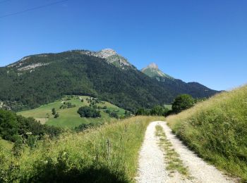 Excursión Senderismo Aillon-le-Jeune - MONT PELAT boucle - Photo