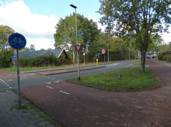 Trail On foot Assen - Rondje Marsdijk Zuid - Photo