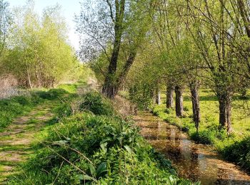 Tour Wandern Grez-Doiceau - Pécrot - Photo