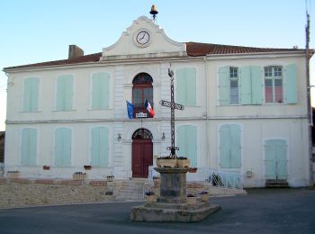 Percorso A piedi Puch-d'Agenais - Puch-d’Agenais, dans les terrasses de Garonne - 6.2km - Photo