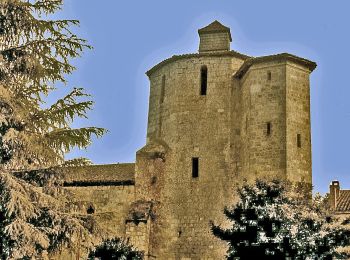 Tour Zu Fuß Houeillès - Houeillès, dans la forêt des Lugues - 16.1 km - Photo