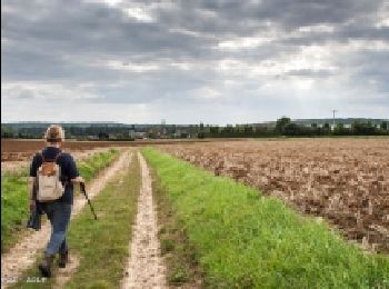 Percorso Marcia Bellême - Bellême - Igé 7,8 km - Photo