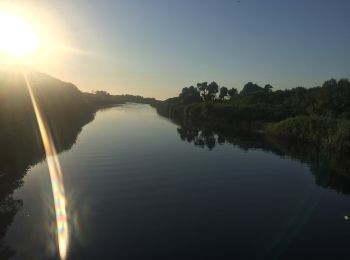 Tocht Te voet Antas - Casa Azenha Branca Trilho das Azenhas das Antas - Photo