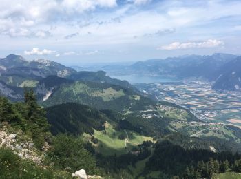 Tour Wandern Châtel - Morclan - Don- Mouet - ptit Châtel  - Photo