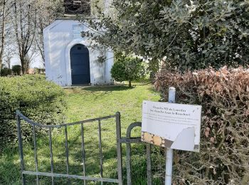 Tour Wandern Pont-à-Celles - A54 / Jean le Boucher / 2 chapelles / Moulin - Photo