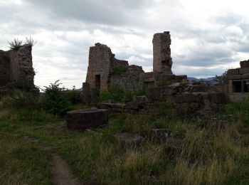 Trail Walking Rombach-le-Franc - Col de Fouchy - Photo