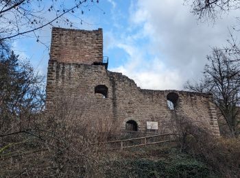 Tocht Stappen Eguisheim - suuntoapp-Hiking-2023-12-29T09-05-16Z - Photo