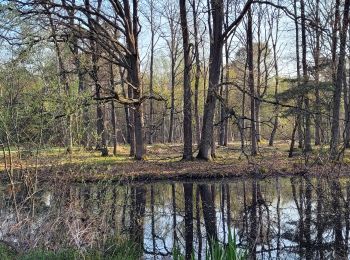 Tour Wandern Brunoy - Boucle Brunoy St Pierre - Tigery 25 km - Photo