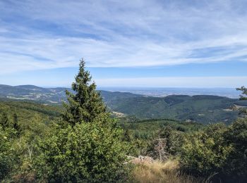 Tour Wandern Cherier - rocher de rochefort depuis la croix Trévingt - Photo