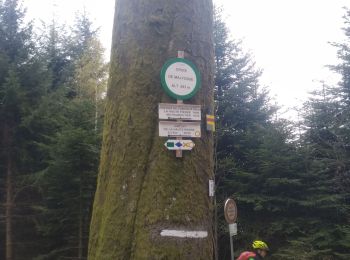 Randonnée V.T.T. Moyenmoutier - vtt moyenmoutier 14.04.19 - Photo