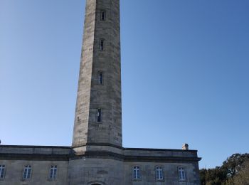 Tocht Stappen Saint-Clément-des-Baleines - phare baleine  - Photo