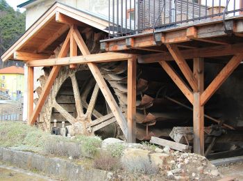 Randonnée A pied Gemeinde Waldegg - Auf's Zimmermannplatzl (Rundwanderweg 02) - Photo