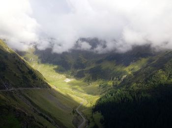 Tocht Te voet Onbekend - Complexul Turistic Piscul Negru - Cabana Capra - L. Capra - Photo