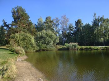 Randonnée A pied Nové Město na Moravě - [M] Ochoza - okruh, local - Photo