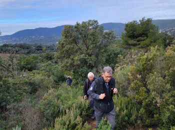 Trail Walking La Croix-Valmer - Baie de Cavalaire : coté terre et coté mer - Photo