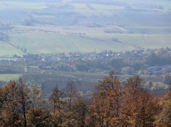 Randonnée A pied Harztor - Südharzer Dampflok Steig - Photo