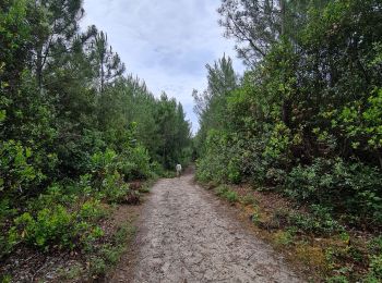 Trail Walking Le Verdon-sur-Mer - Verdon, Rocher Saint Nicolas, Pointe de Grave (Boucle) - Photo