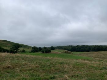 Tocht Stappen Riom-ès-Montagnes - Étang de Bonde - Photo