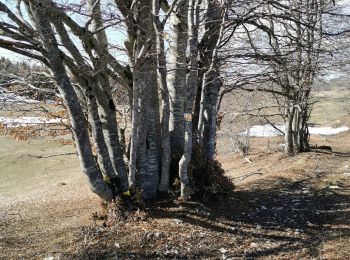 Tour Wandern Valserhône - Cuvéry 1er/04/21 - Photo