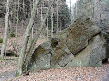 Excursión A pie Hohnstein - Großer Rundweg - Photo