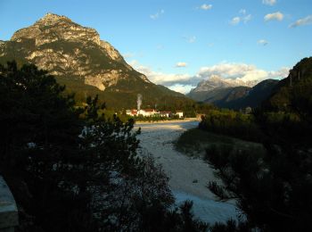 Trail On foot Tolmezzo - IT-417 - Photo