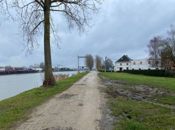 Percorso Marcia Grimbergen - Verbrande Brug 15 km - Photo