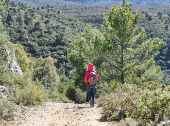 Randonnée A pied Nans-les-Pins - nans les pins 11km 3h - Photo