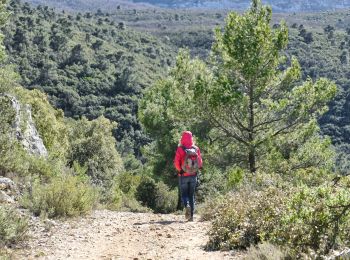 Tocht Te voet Nans-les-Pins - nans les pins 10km - Photo