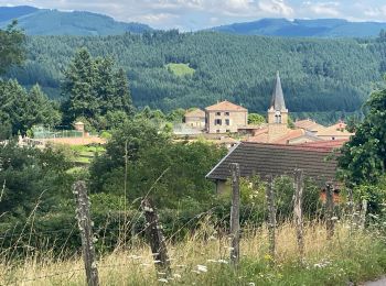 Tocht Stappen Saint-Nizier-d'Azergues - Saint-Nizier-d'Azergues (14 km - D. 577 m) - Photo