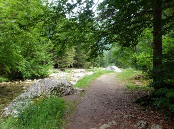 Excursión Senderismo Saint-Pierre-d'Entremont - Cirque de Saint-Même-2022-G2 - Photo