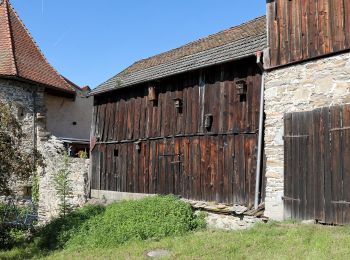 Percorso A piedi Haslach an der Mühl - Haslacher Rundumweg - Photo