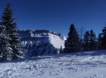 Tour Skiwanderen Saint-Pierre-d'Entremont - la Scia par le Planolet - Photo