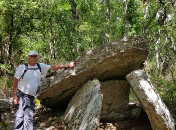 Excursión Senderismo Barjac - 2020 06 17 dolmen de Barjac  - Photo