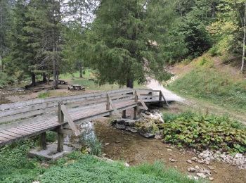 Randonnée Marche Autrans-Méaudre en Vercors - MAP Les Gorges du Méaudret  Les Jarrands. - Photo