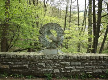 Tour Zu Fuß Hürtgenwald - 4 Täler - Photo