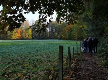 Percorso Marcia Braine-le-Château - Marche Adeps á  Braine-le-Château  - Photo