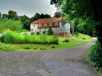 Tocht Te voet Michendorf - Rundweg um Wilhelmshorst - Photo