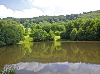 Tour Zu Fuß Poppenhausen - Guckaisee - Rhön-Rundweg 18 - Photo