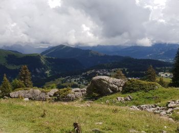 Randonnée Marche Taninges - le lac du roy - Photo