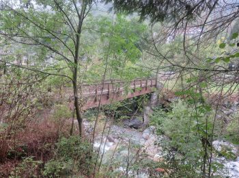 Trail On foot Ronco Canavese - IT-633 - Photo