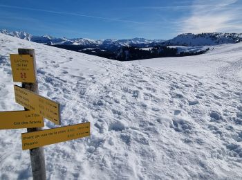 Trail Walking La Giettaz - Tour au col des Aravis - Photo