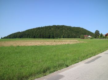 Tour Zu Fuß Semriach - R10 Boden-Rechbergkogel-Greithweg - Photo