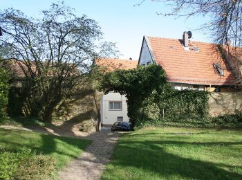 Tocht Te voet Brombachtal - Rundwanderweg Brombachtal 7: Fernblickweg - Photo