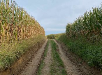 Tour Wandern Huldenberg - Loonbeek - Huldenberg - Duisburg - Photo