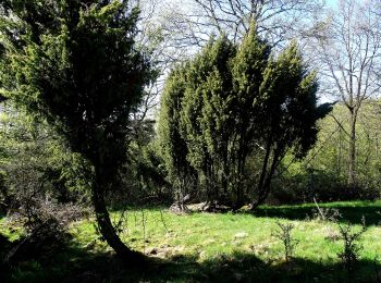 Tocht Te voet Meschede - Wallen Rundweg A3 - Photo